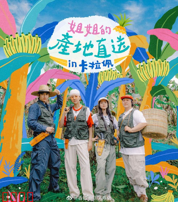 姐姐家的产地直送3:家族秘密