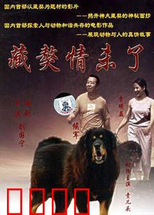 藏獒情未了:忠诚守护